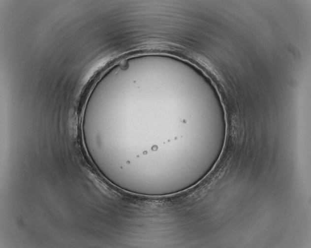 X0000113361067200909291025