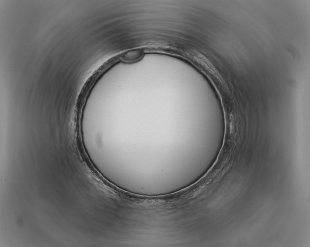 X0000113361068200909291025