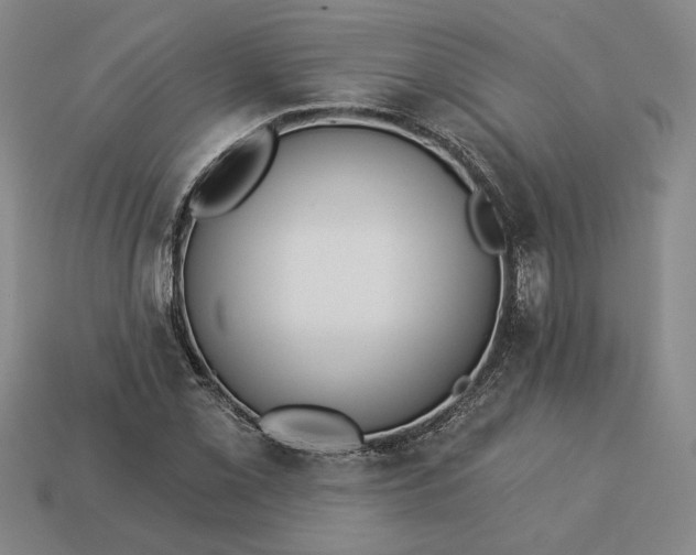 X0000113361069200909291025