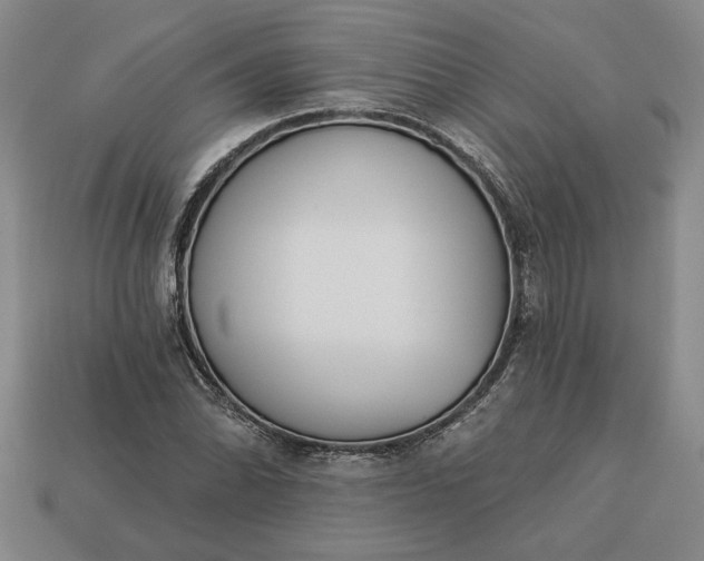 X0000113361070200909291025