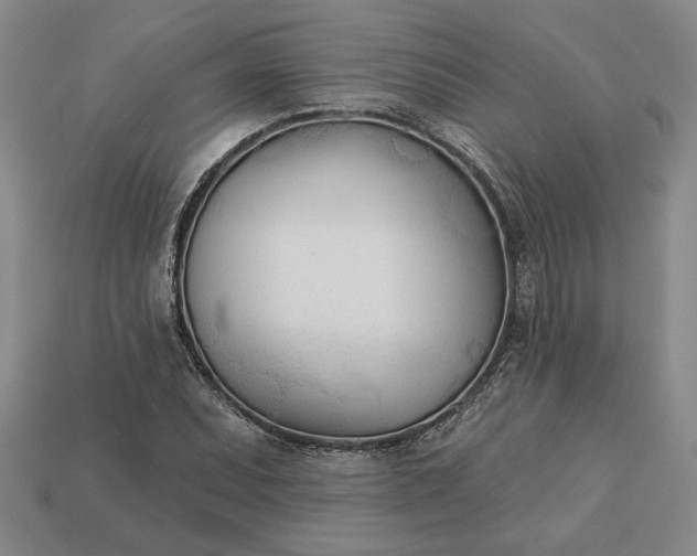 X0000113361071200909291025