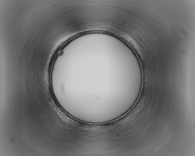 X0000113361072200909291025