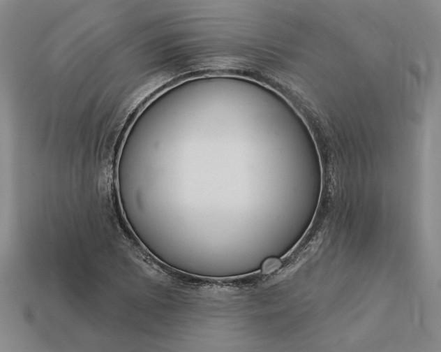 X0000113361073200909291025