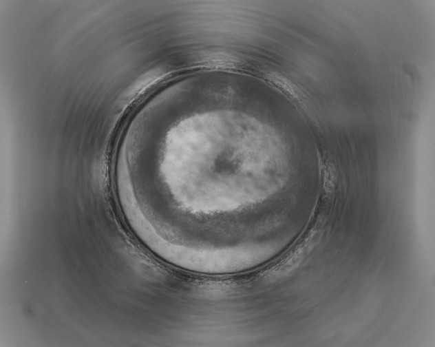 X0000113361074200909291025