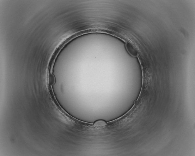 X0000113361076200909291025