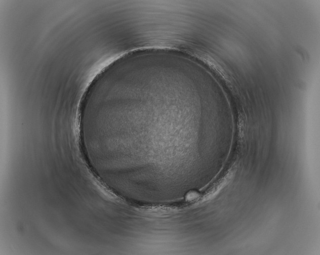 X0000113361077200909291025