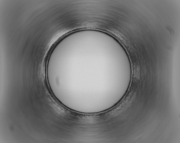 X0000113361078200909291025