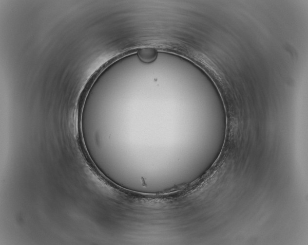 X0000113361079200909291025