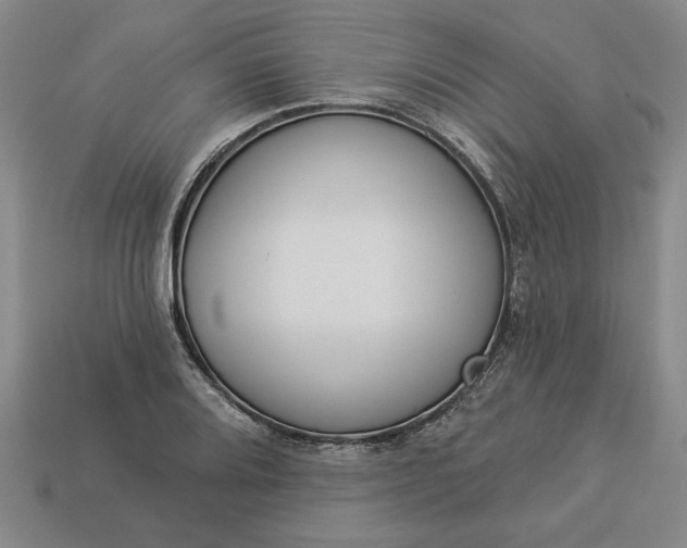 X0000113361080200909291025