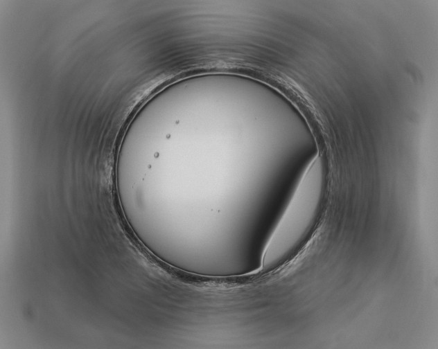 X0000113361081200909291025