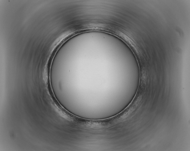 X0000113361082200909291025