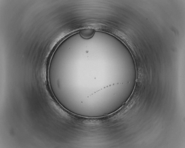 X0000113361083200909291025