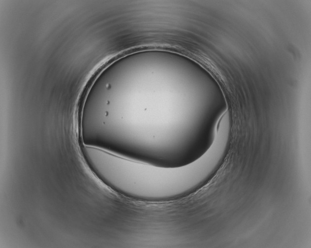 X0000113361084200909291025