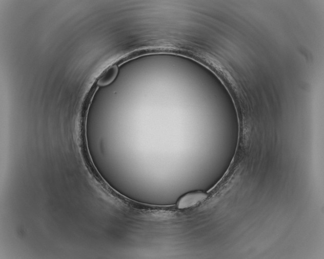 X0000113361085200909291025