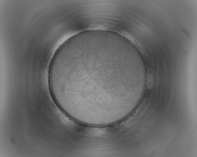 X0000113361086200909291025