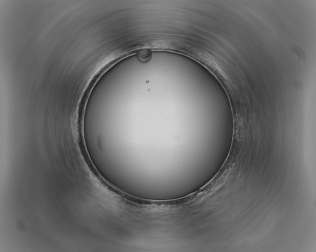 X0000113361087200909291025