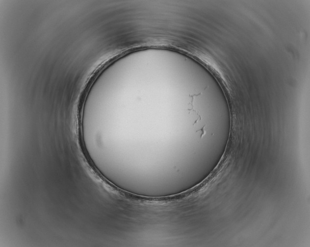 X0000113361088200909291025