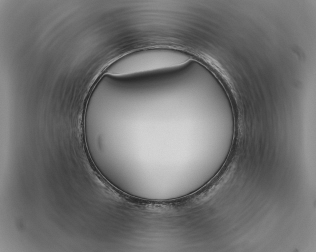 X0000113361089200909291025