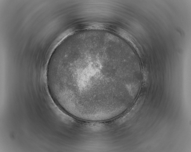 X0000113361090200909291025