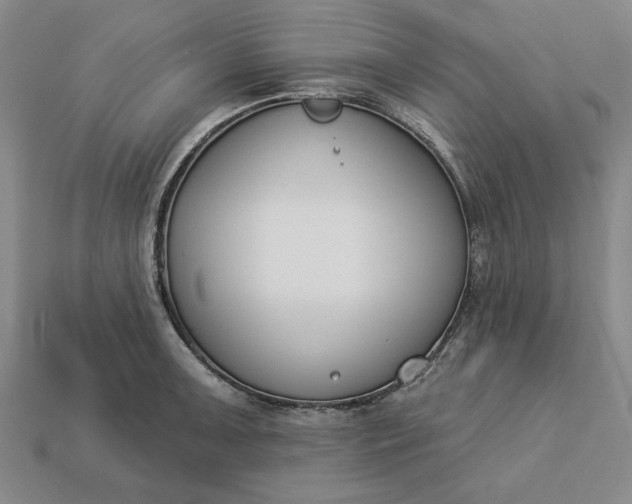 X0000113361091200909291025