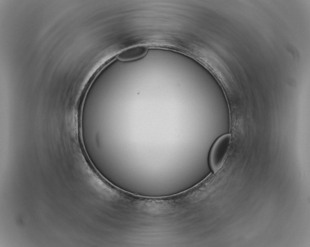 X0000113361092200909291025