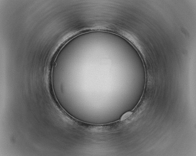 X0000113361093200909291025