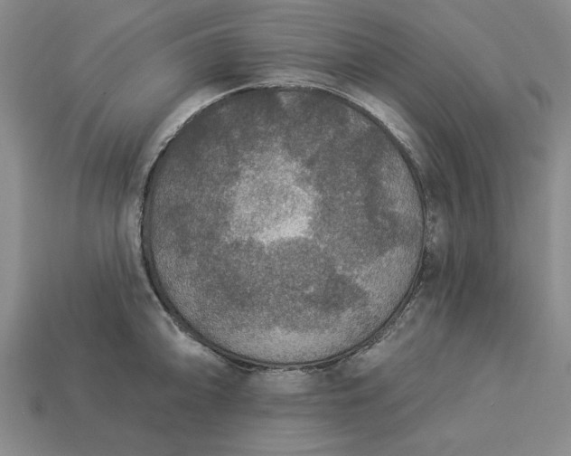 X0000113361094200909291025