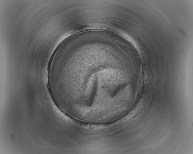 X0000113361095200909291025