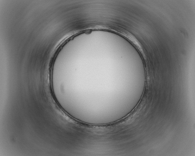 X0000113361096200909291025