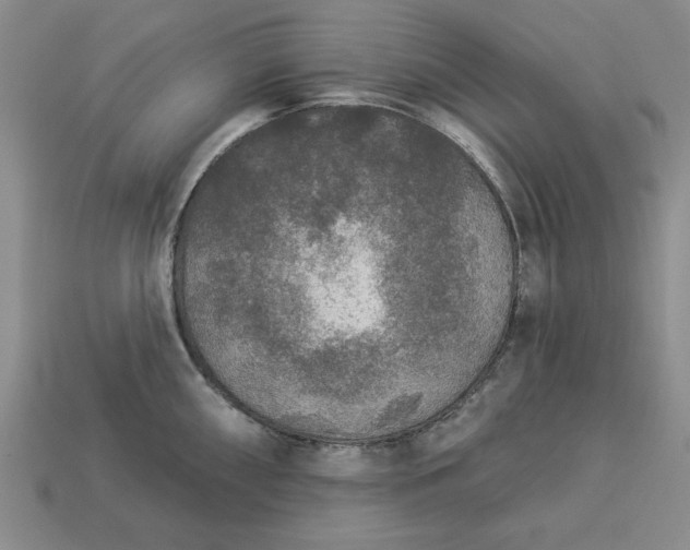 X0000113361098200909291025