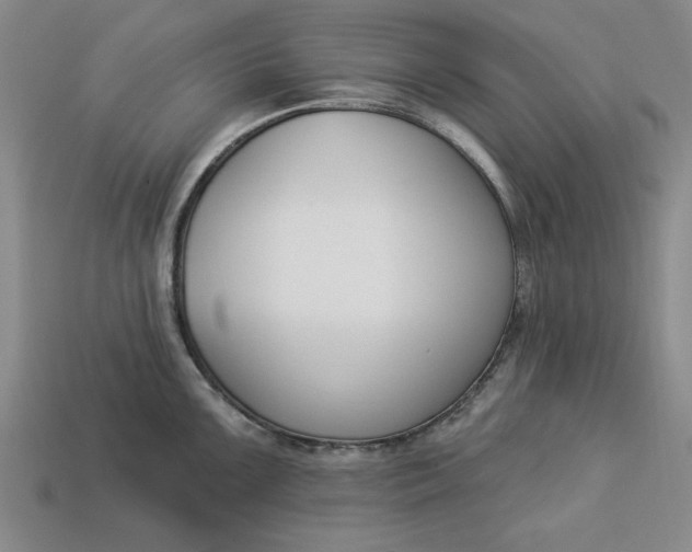 X0000113361099200909291025