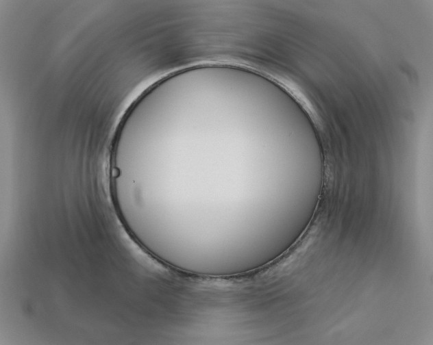 X0000113361100200909291025