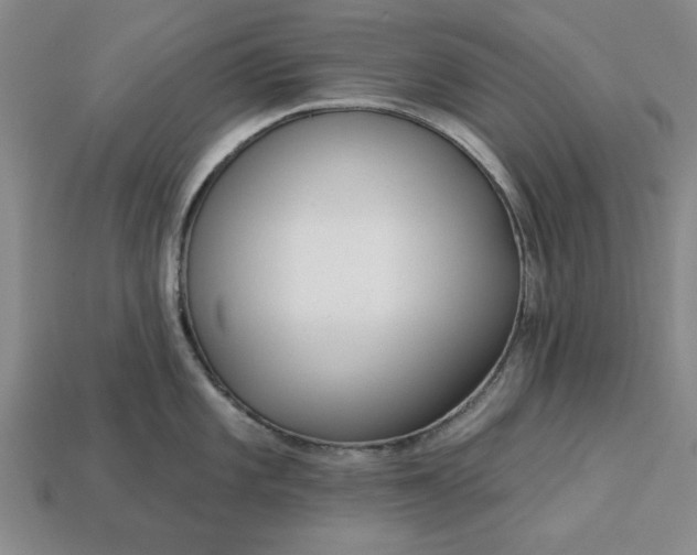 X0000113361101200909291025