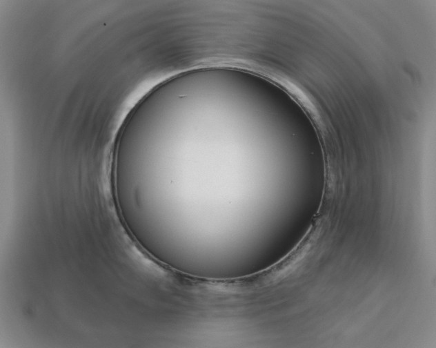 X0000113361102200909291025