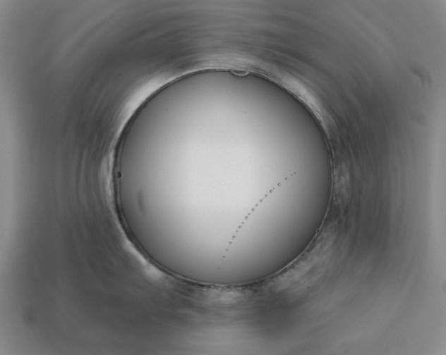 X0000113361103200909291025