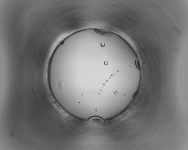 X0000113361104200909291025