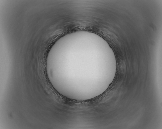 X0000113361105200909291024