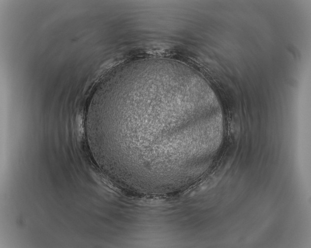 X0000113361106200909291024