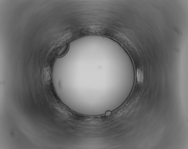 X0000113361107200909291024