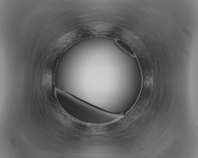 X0000113361108200909291024