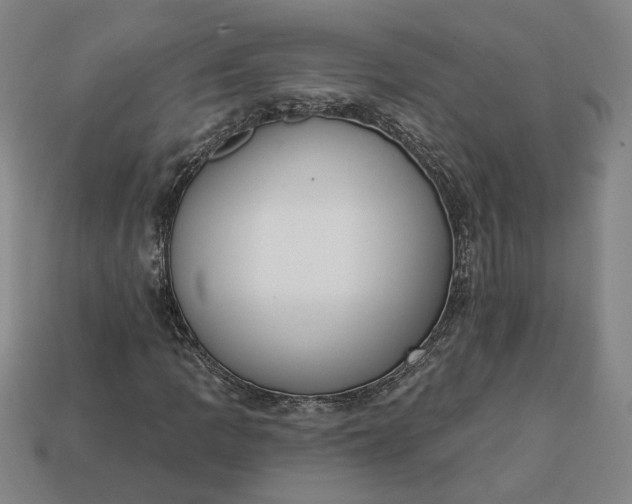 X0000113361109200909291024