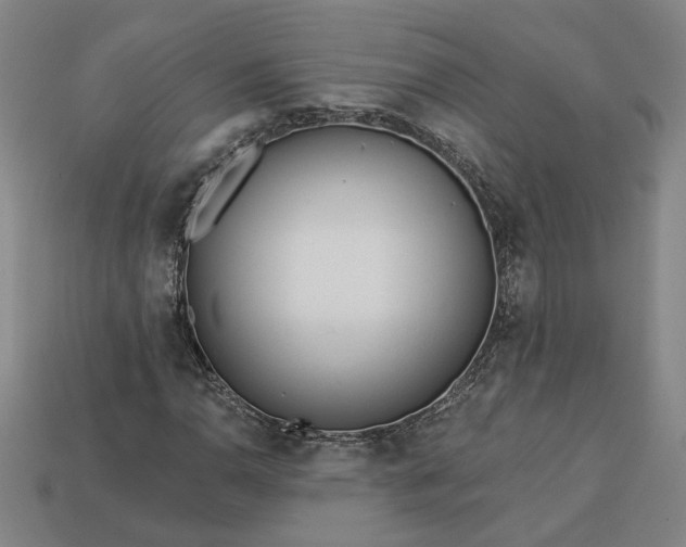 X0000113361110200909291024