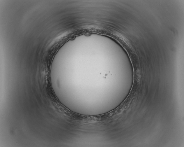 X0000113361111200909291024