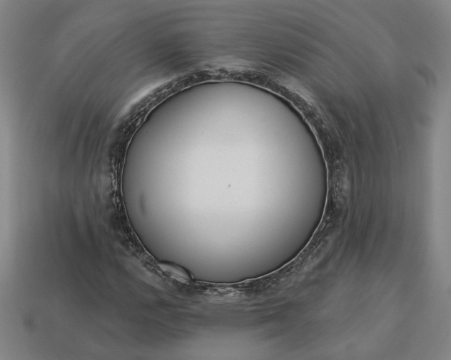 X0000113361112200909291024