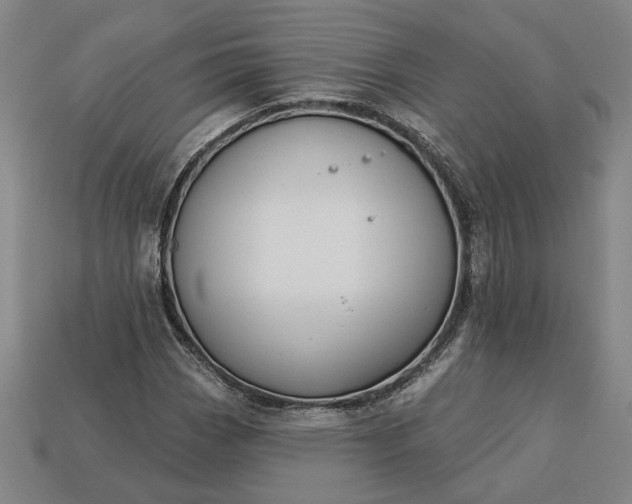 X0000113361113200909291024