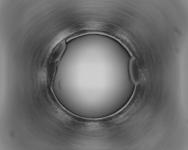 X0000113361114200909291024