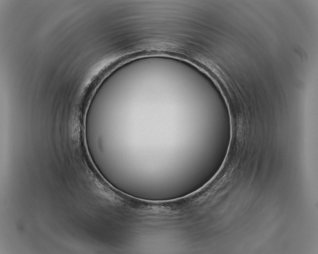 X0000113361115200909291024