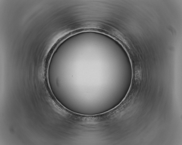 X0000113361116200909291024