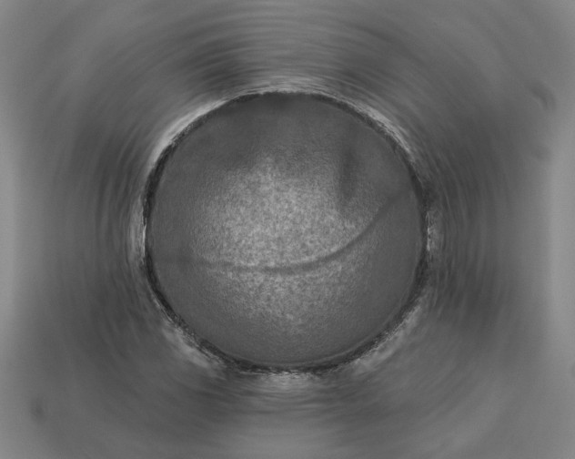 X0000113361117200909291024