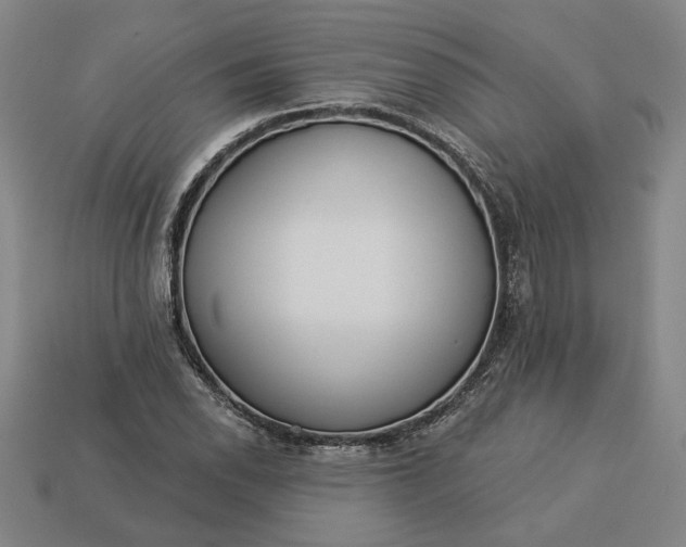 X0000113361118200909291024